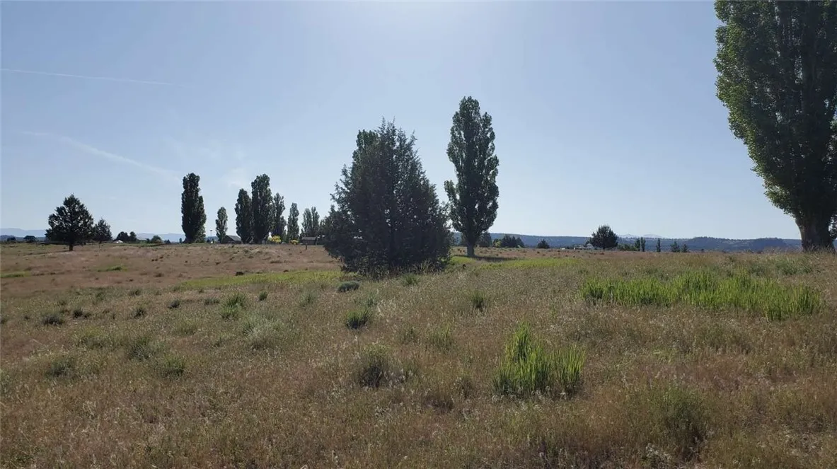 0 Shasta View Drive Alturas, CA 96101 - Photo 19 of 26 a view of a field