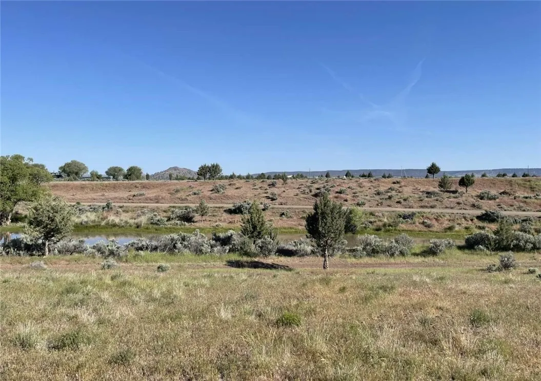 0 Shasta View Drive Alturas, CA 96101 - Photo 20 of 26 a view of a dry yard with ocean