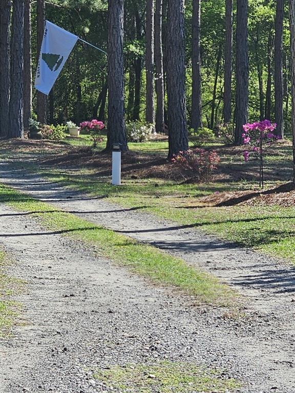 110 Bethel Village Road Eastman, GA 31023 - Photo 17 of 32 a view of a park with large trees