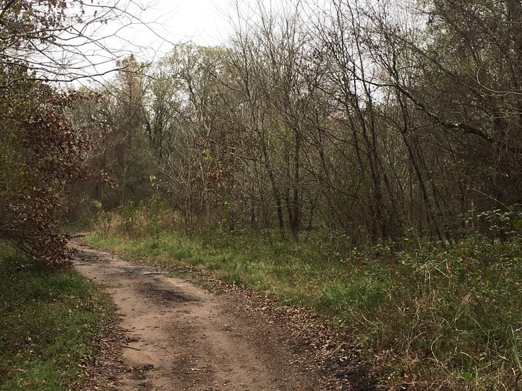 Tbd Big Creek Road Shepherd, TX 77371 - Photo 2 of 11