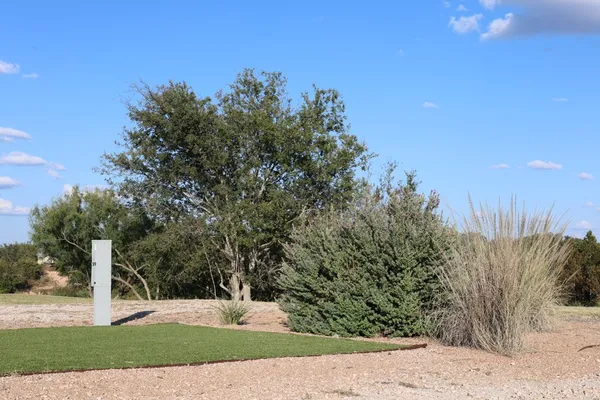 a view of a yard