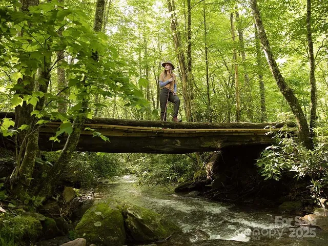 $150,000 | 139 ( 34) Boarding House Way, Unit 115, Sylva, NC 28779