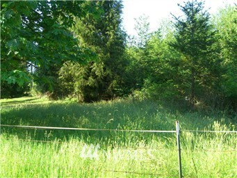 3004 Barrell Springs Road Bow, WA 98232 - Photo 3 of 5 Gallery Image 3