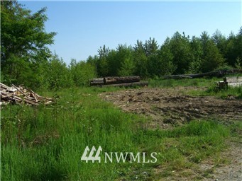 3004 Barrell Springs Road Bow, WA 98232 - Photo 4 of 5 Gallery Image 4