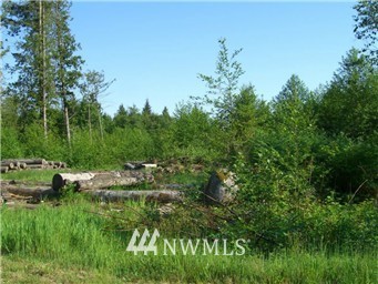 3004 Barrell Springs Road Bow, WA 98232 - Photo 5 of 5 Gallery Image 5