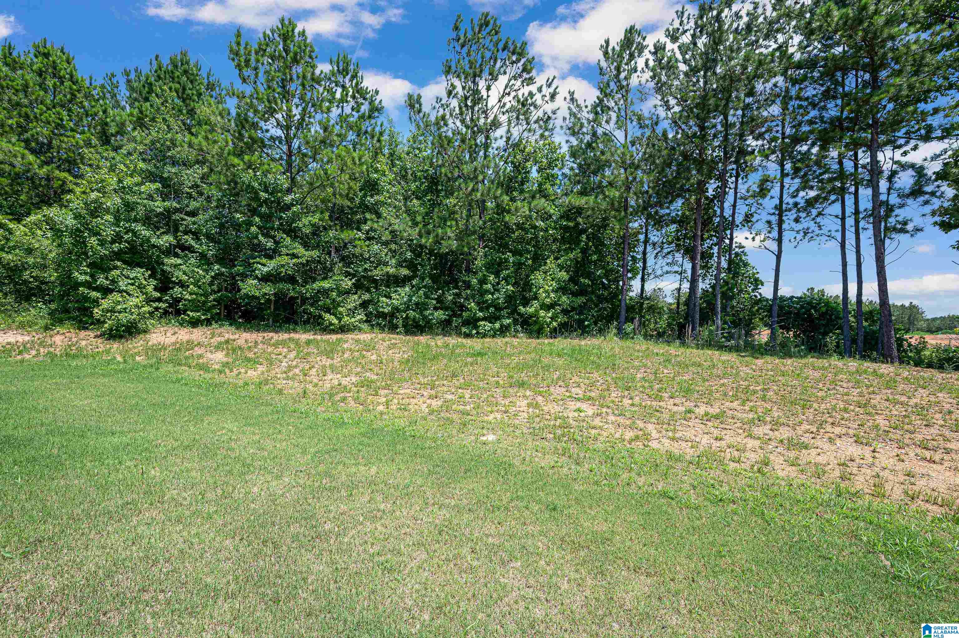 735 Ridgeway Avenue Columbiana, AL 35051 - Photo 34 of 35