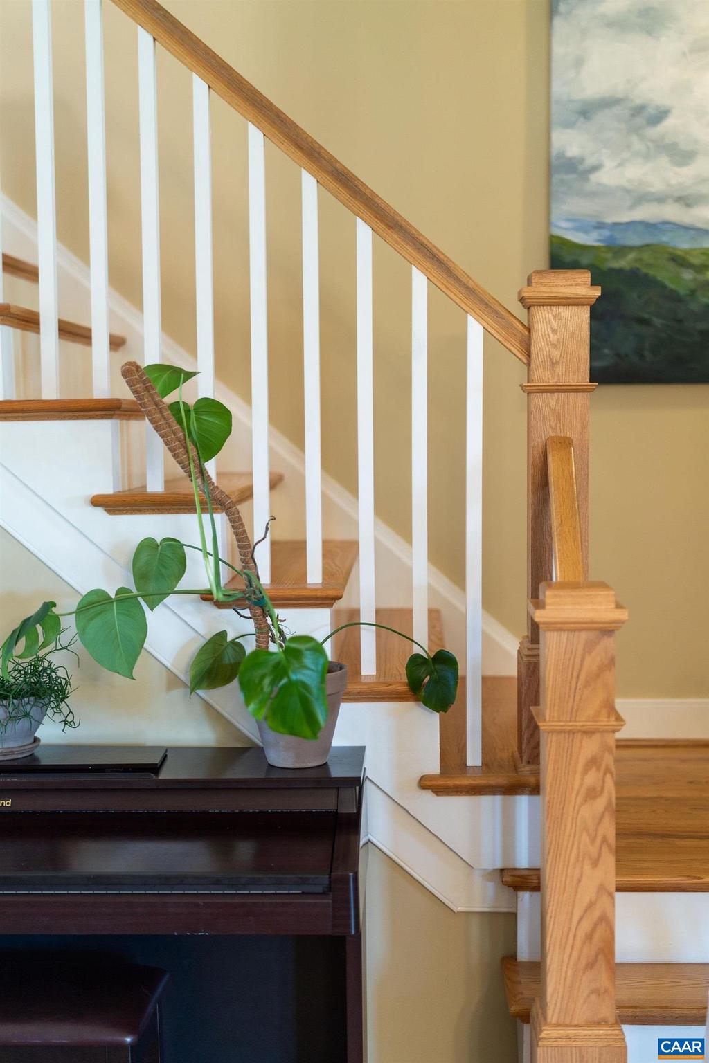 310 Harris Road Charlottesville, VA 22903 - Photo 20 of 47