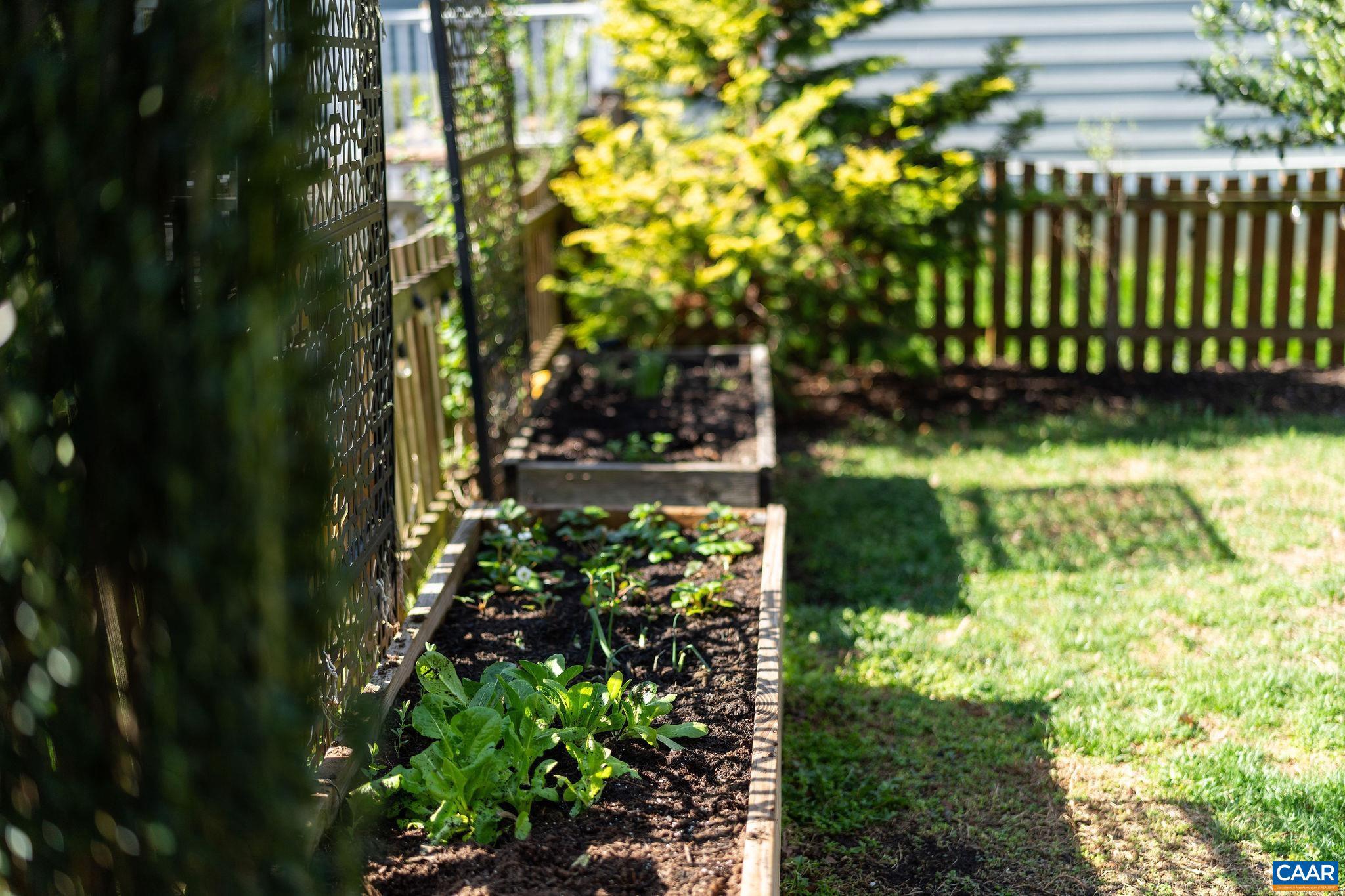 310 Harris Road Charlottesville, VA 22903 - Photo 38 of 47