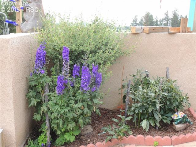 249 Chipper Road Guffey, CO 80820 - Photo 9 of 13 Wild Flower Heaven