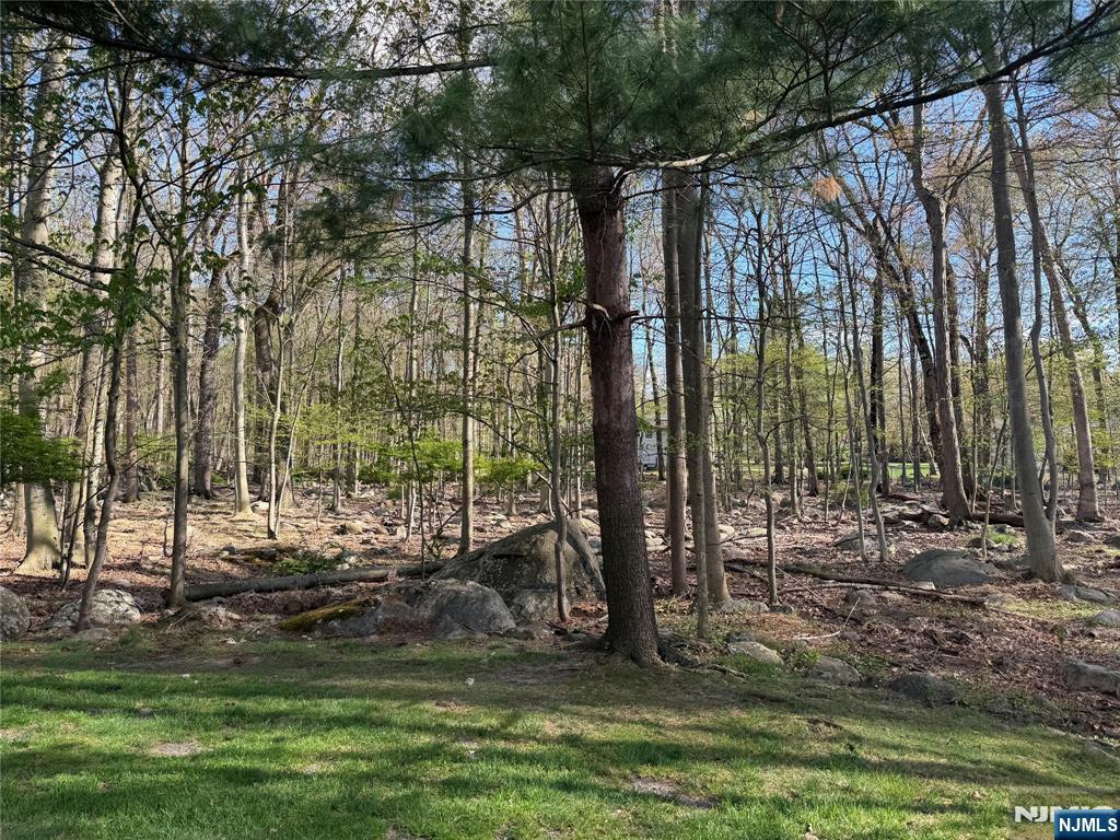 2308 Hemingway Lane, Unit 2308 Mahwah, NJ 07430 - Photo 16 of 16 a view of a park with large trees