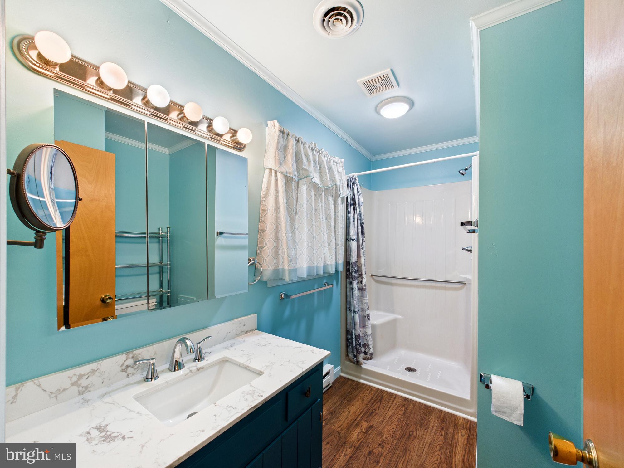 5046 Manokin Road Crisfield, MD 21817 - Photo 26 of 72 Primary en suite bathroom
