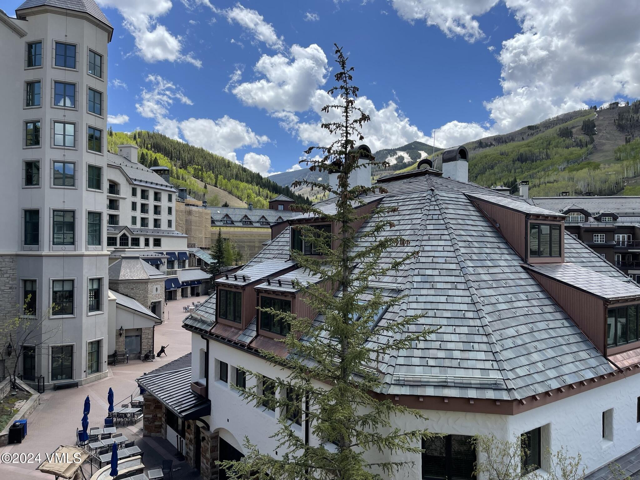 210 Offerson Road, Unit 111 WEEK 47 Beaver Creek, CO 81620 - Photo 2 of 25 IMG_3204