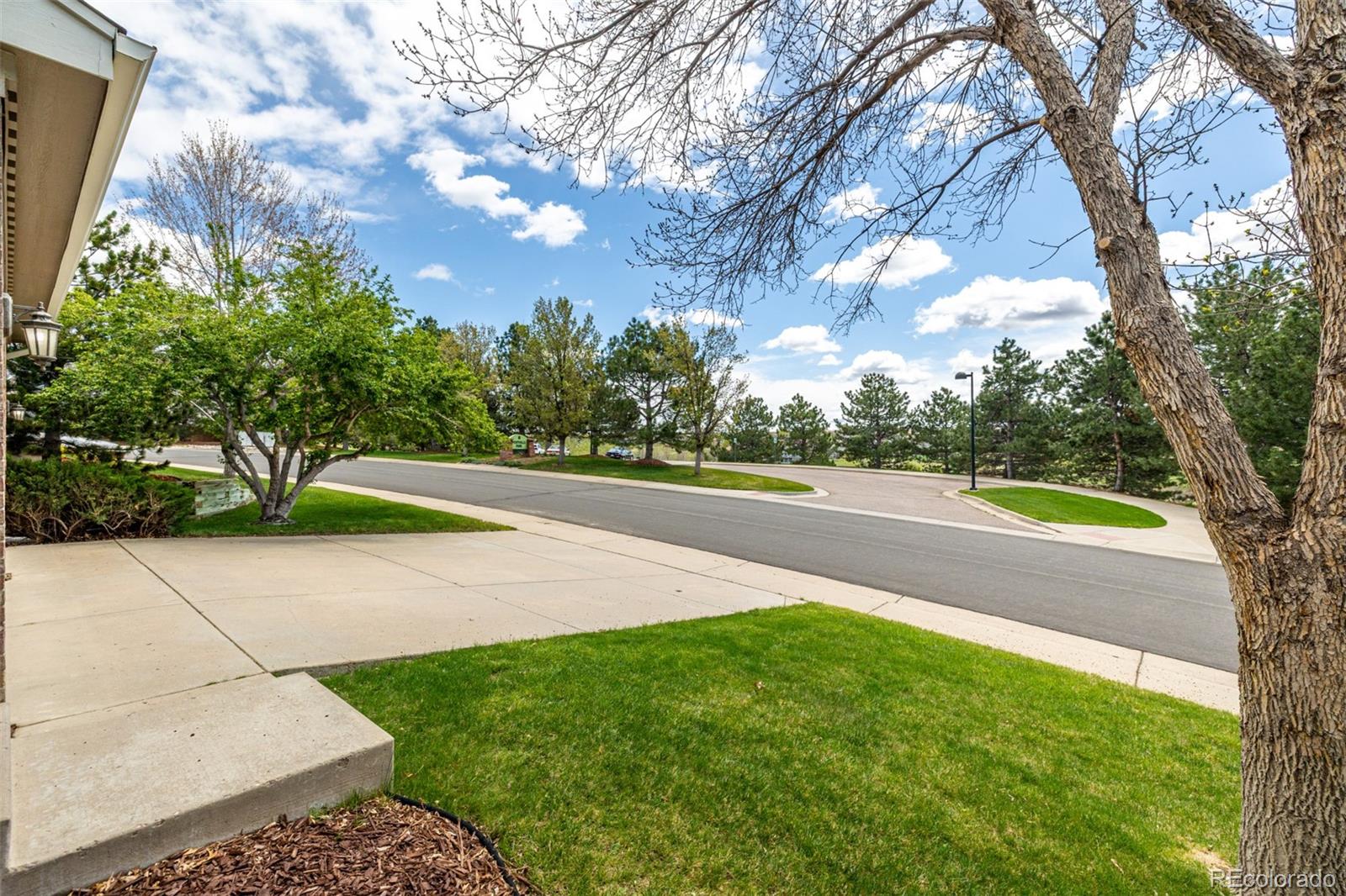 1041 Riddlewood Road Highlands Ranch, CO 80129 - Photo 6 of 50