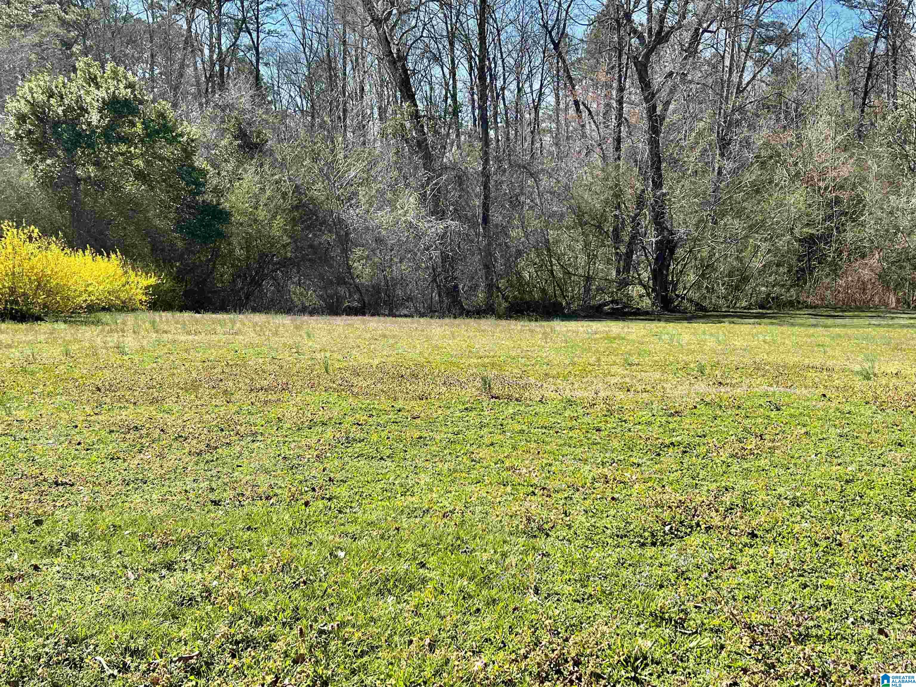 116 Howard Street Warrior, AL 35180 - Photo 31 of 35 Gallery Image 31