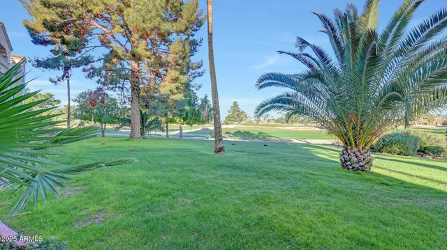 a view of a yard with a tree