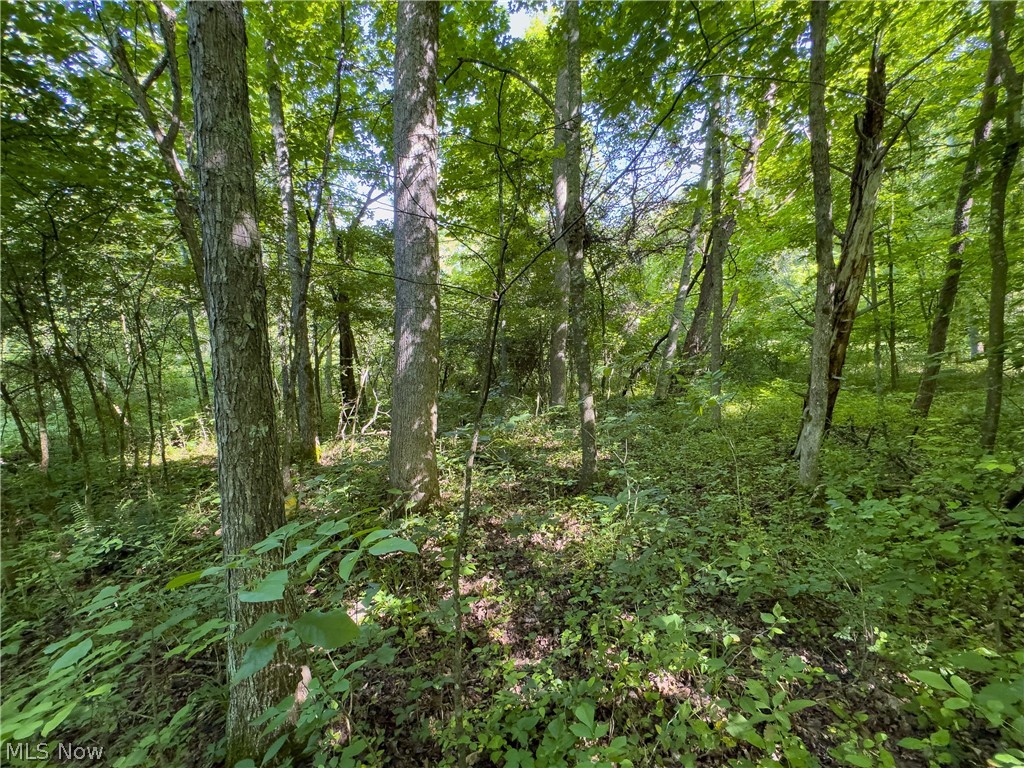2 Jake Road Patriot, OH 45658 - Photo 15 of 20