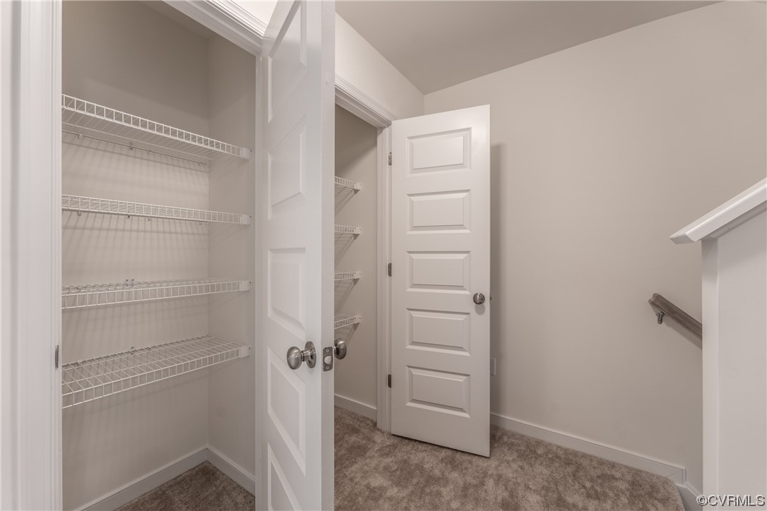 18609 Palisades Ridge Moseley, VA 23120 - Photo 21 of 50 a view of walk in closet