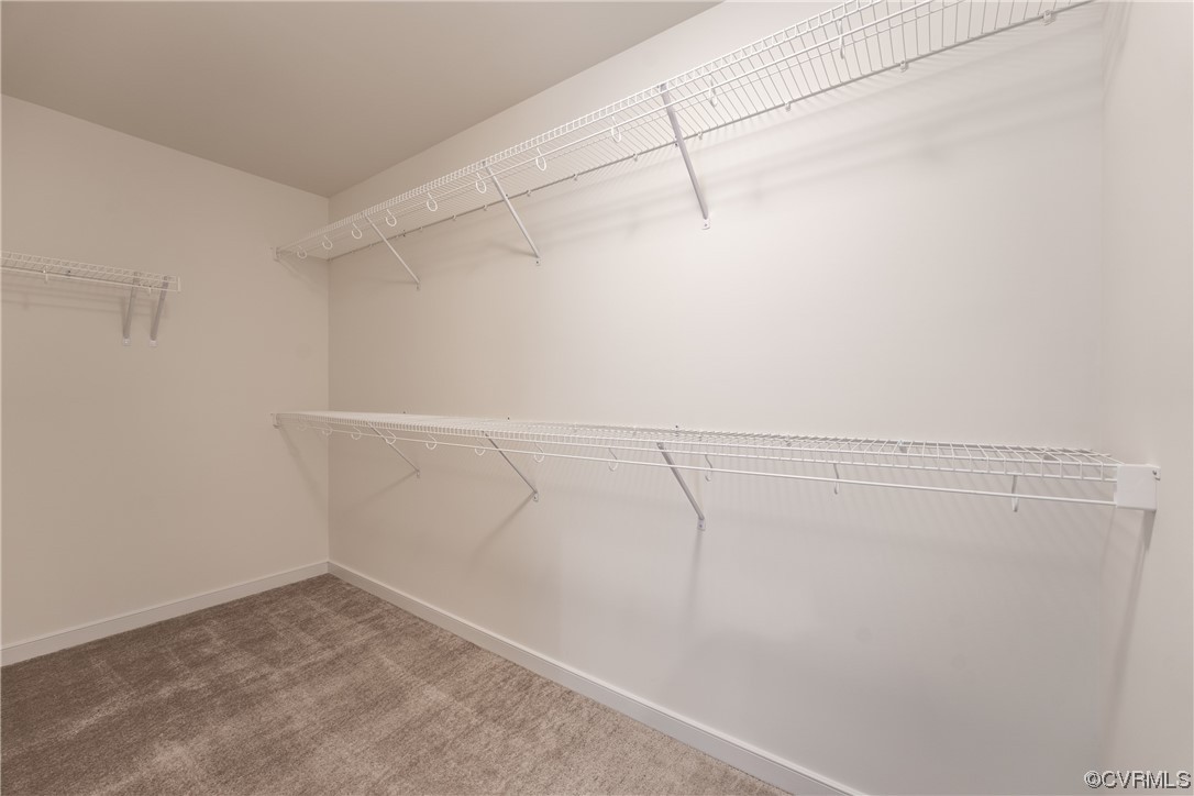 18609 Palisades Ridge Moseley, VA 23120 - Photo 30 of 50 a view of a room with racks on the wall