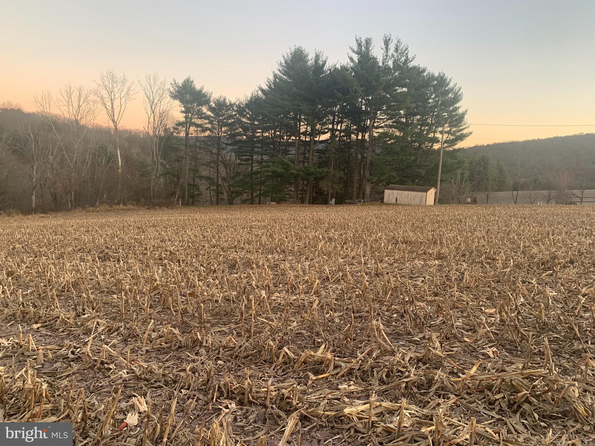 0 West Side Of Stein Road Ashland, PA 17921 - Photo 2 of 8