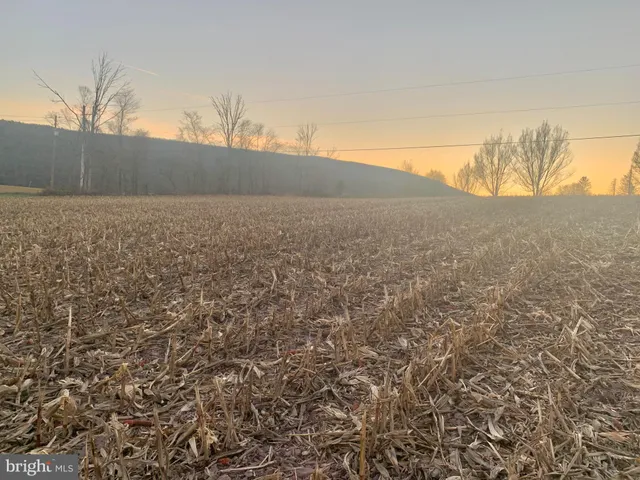 $50,000 | 0 West Side Of Stein Road, Ashland, PA 17921