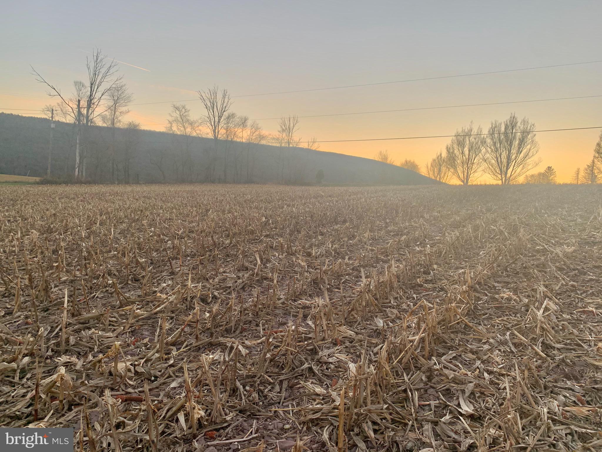 0 West Side Of Stein Road Ashland, PA 17921 - Photo 3 of 8