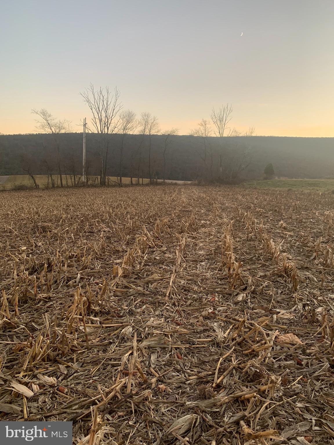 0 West Side Of Stein Road Ashland, PA 17921 - Photo 4 of 8