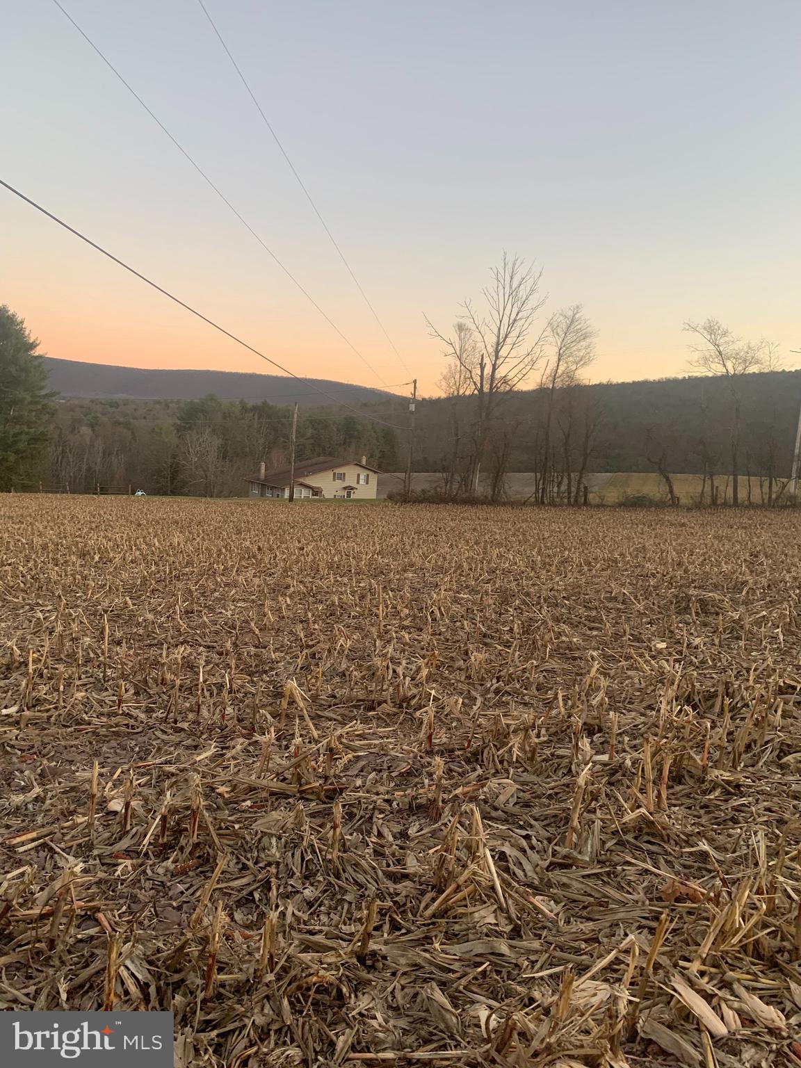 0 West Side Of Stein Road Ashland, PA 17921 - Photo 6 of 8