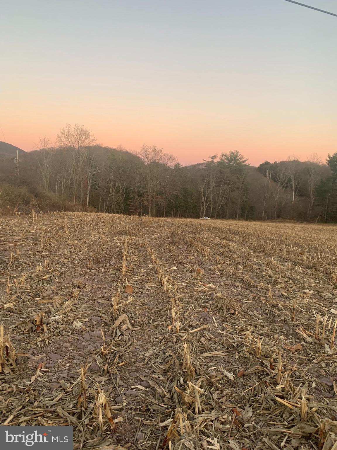 0 West Side Of Stein Road Ashland, PA 17921 - Photo 7 of 8