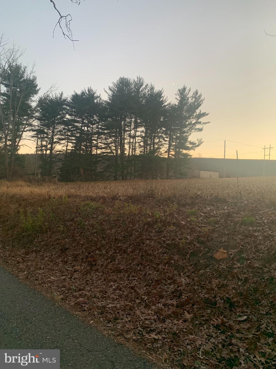 0 West Side Of Stein Road Ashland, PA 17921 - Photo 8 of 8