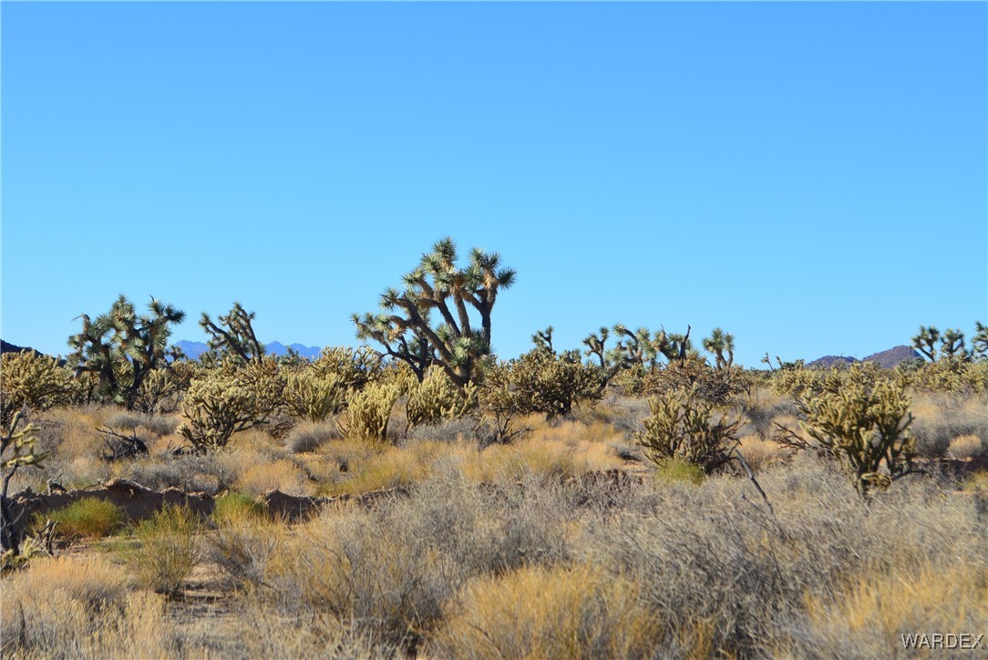 11900 Alan Road Yucca, AZ 86438 - Photo 23 of 99 Gallery Image 23