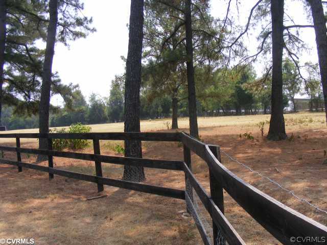 5810 Bethlehem Road Richmond, VA 23230 - Photo 11 of 12 Land - Bring the horses!