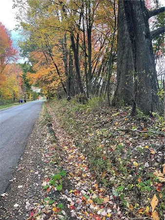 a big yard with lots of green space