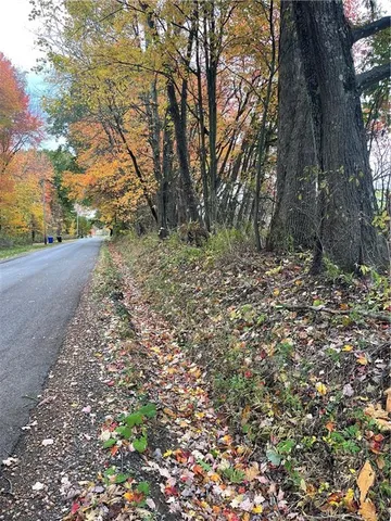 a big yard with lots of green space