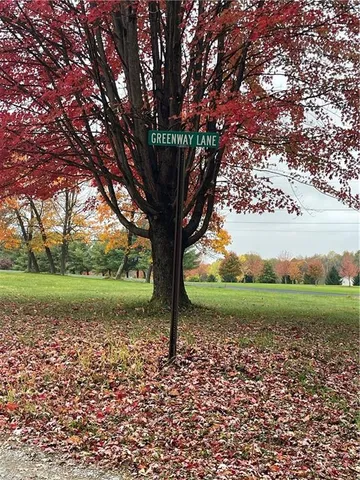 a view of backyard with green space