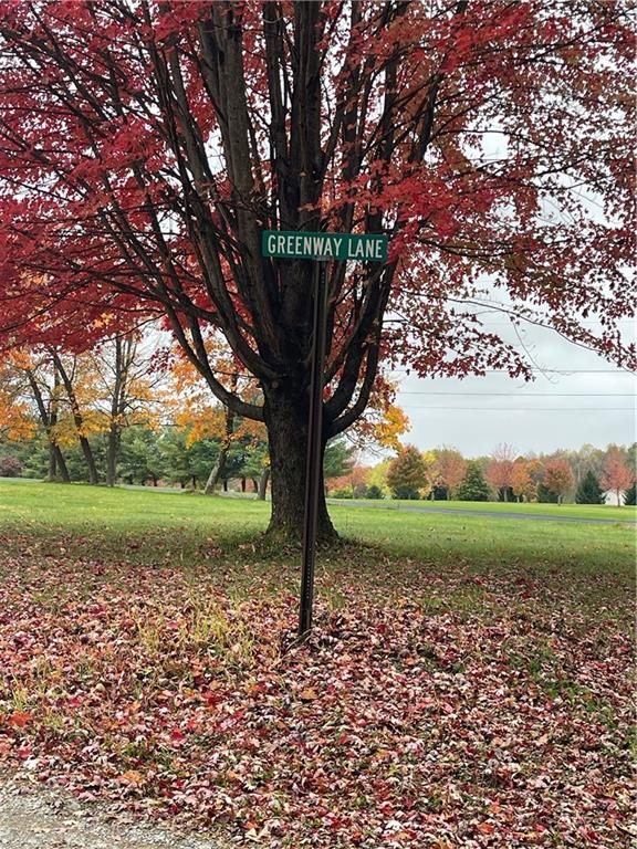 0 Browntown Road Harrisville, PA 16038 - Photo 4 of 6 a view of backyard with green space