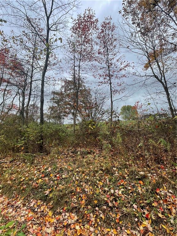 0 Browntown Road Harrisville, PA 16038 - Photo 5 of 6 a backyard of a house with lots of green space
