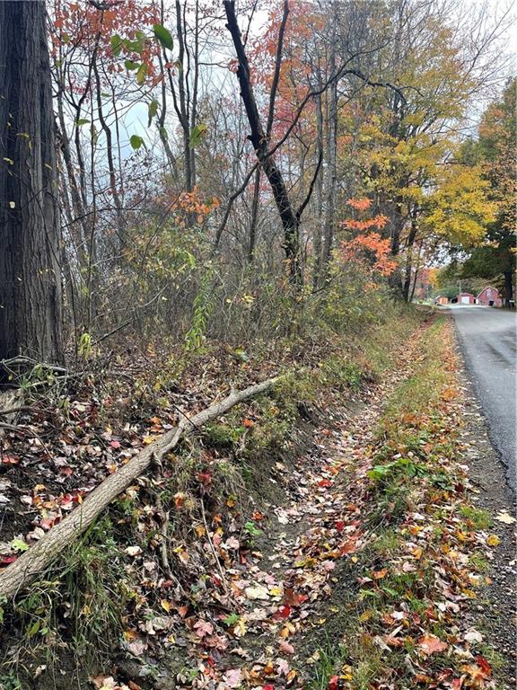 0 Browntown Road Harrisville, PA 16038 - Photo 6 of 6 a backyard of a house with lots of green space