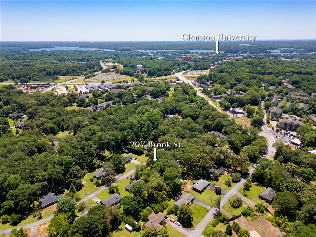 207 Brook Street Clemson, SC 29631 - Photo 36 of 39 An aerial perspective showcases a vibrant, tree-lined neighborhood with Lake Hartwell water views.