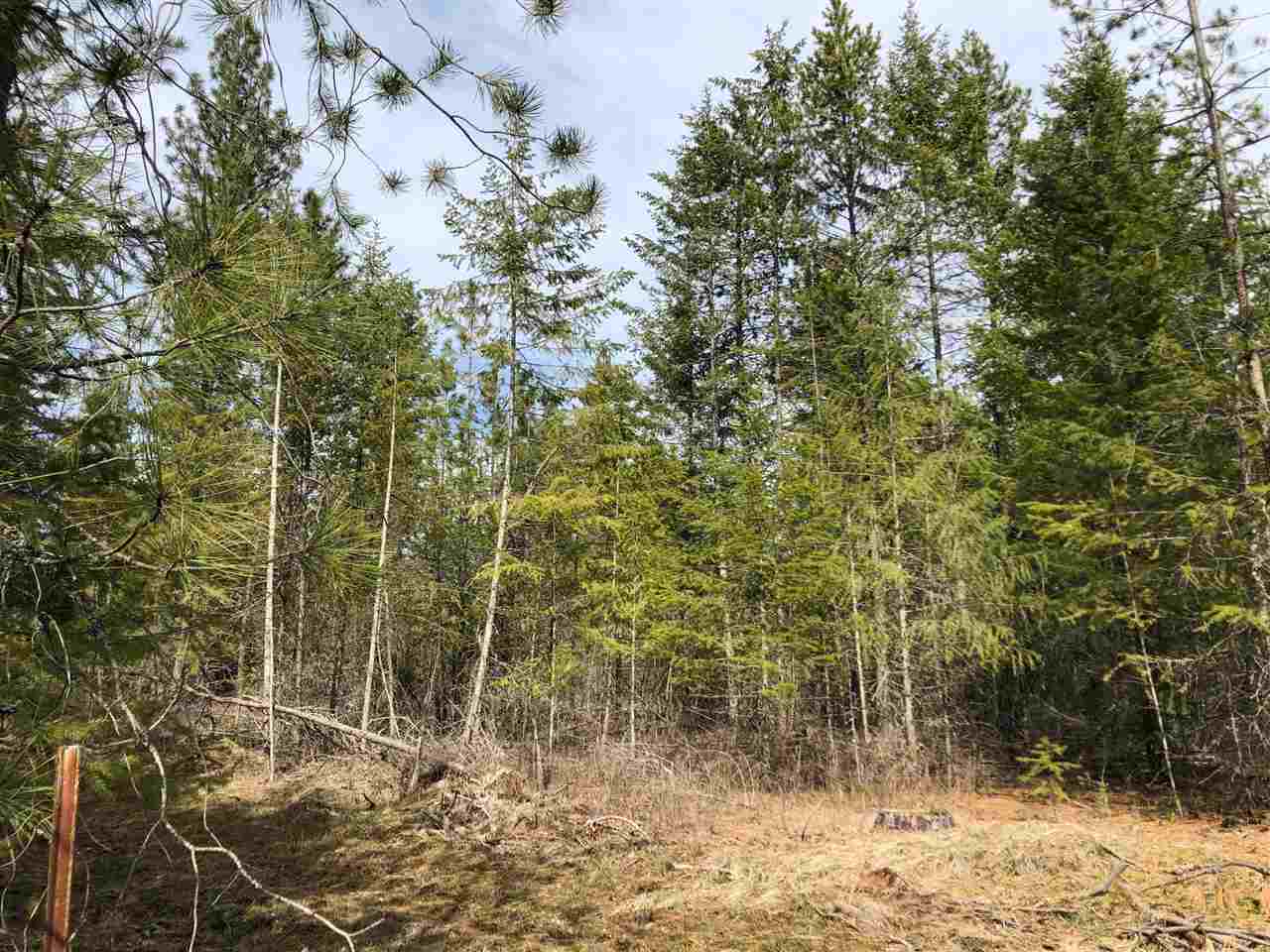 Lot 1 North Jefferson Road Elk, WA 99009 - Photo 2 of 6