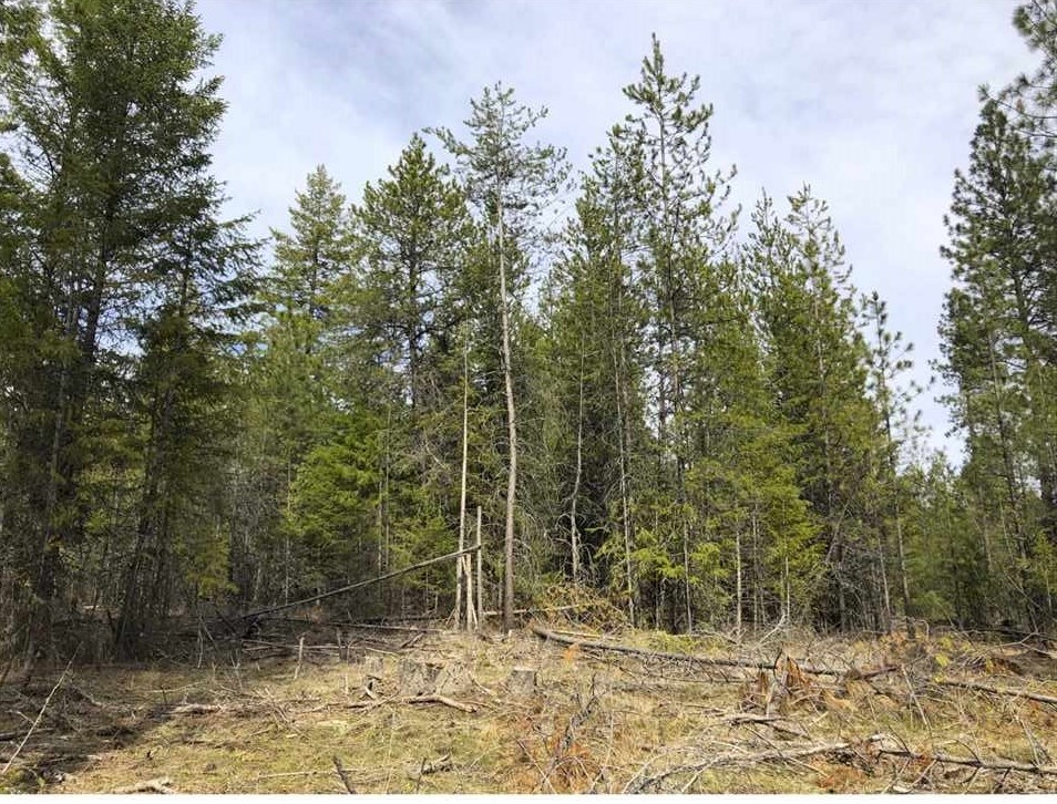 Lot 1 North Jefferson Road Elk, WA 99009 - Photo 3 of 6