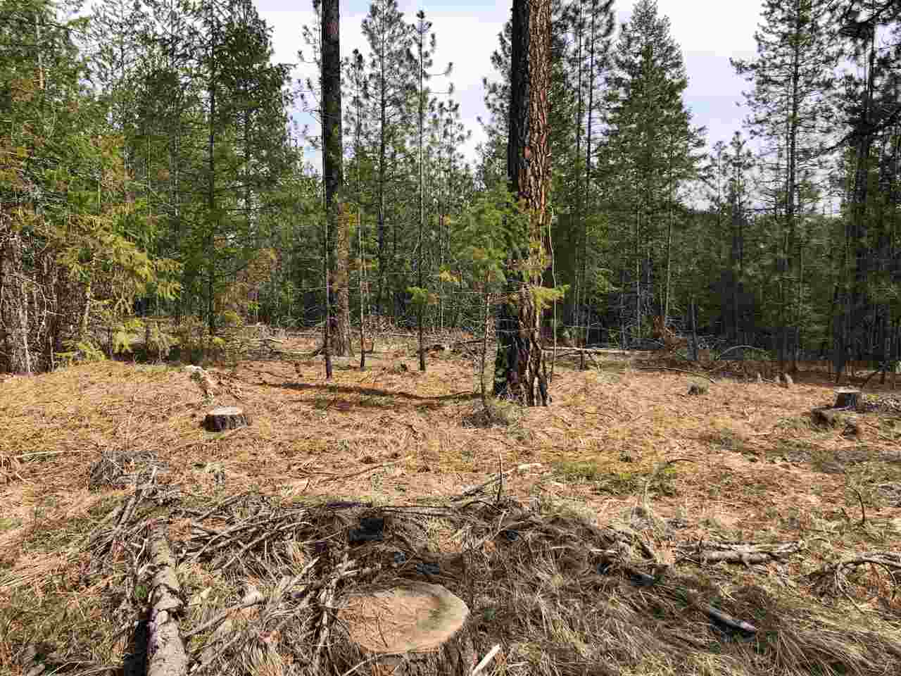 Lot 1 North Jefferson Road Elk, WA 99009 - Photo 4 of 6