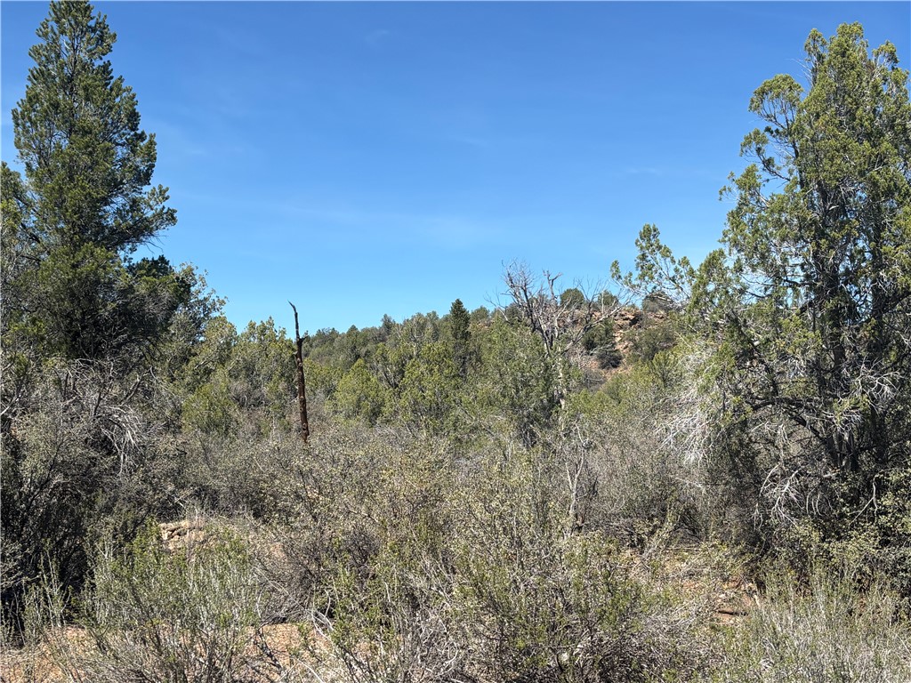 352-38-012 352-38-012 Badger Ridge Road Kingman, AZ 86401 - Photo 14 of 31