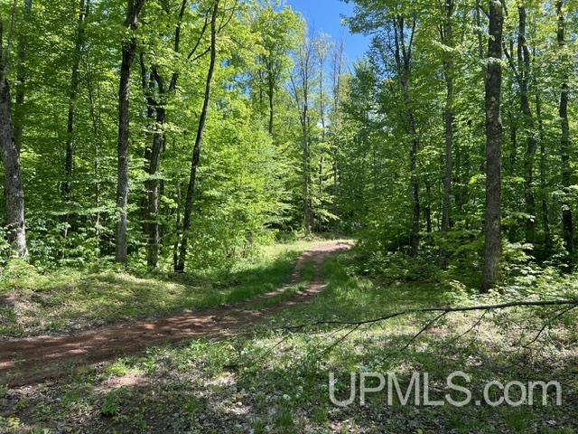 54335 Gay Road Lake Linden, MI 49945 - Photo 31 of 41