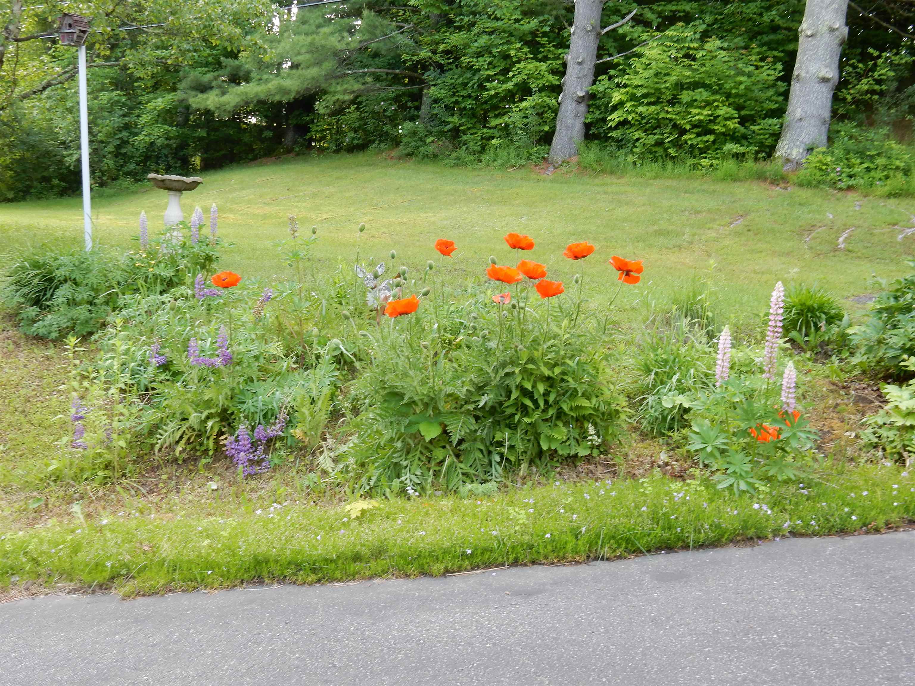 425 West Main Street Newport, VT 05855 - Photo 26 of 33