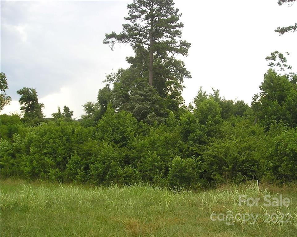 0 Joe Collins Road Monroe, NC 28112 - Photo 10 of 18