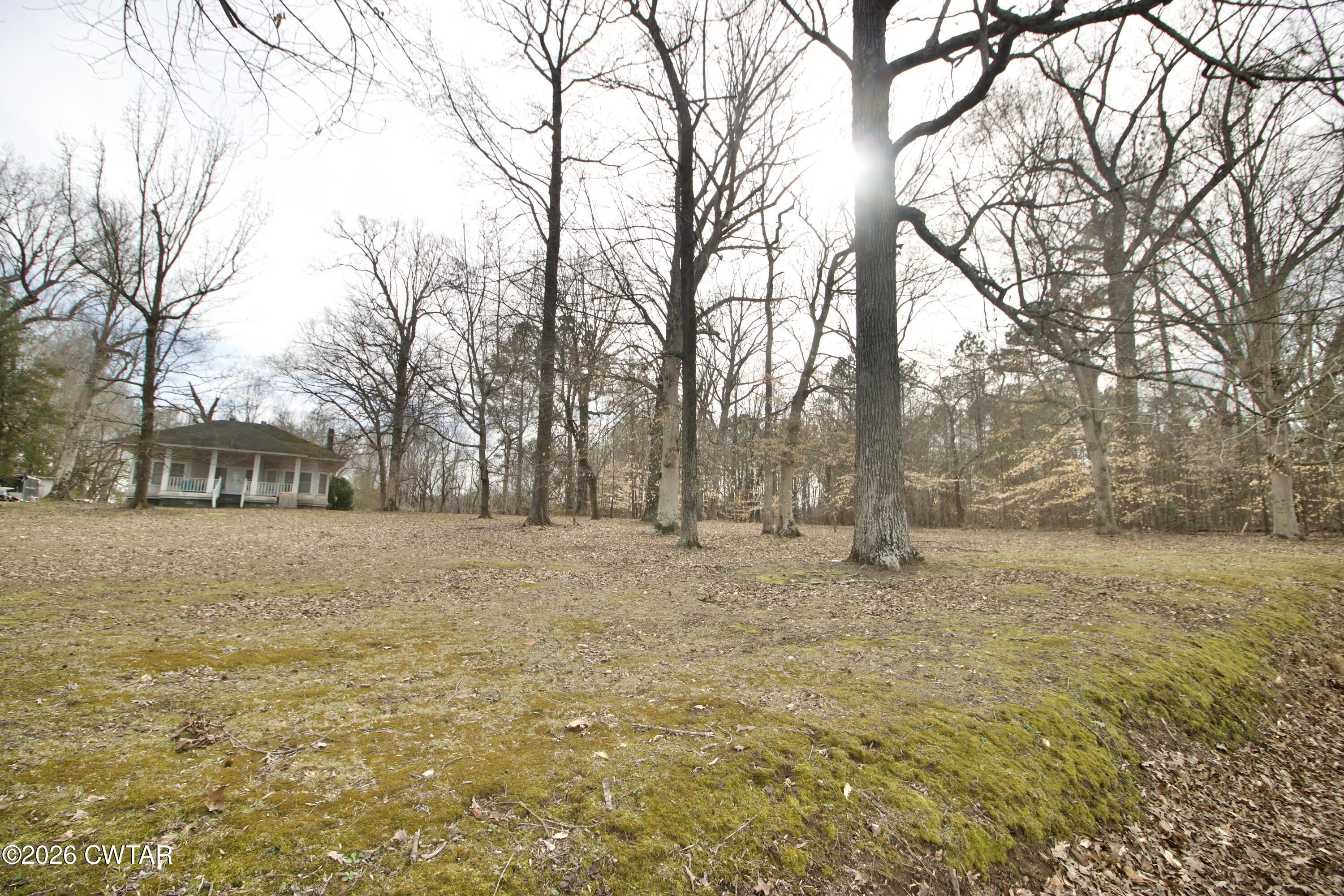 1782 East Chester Street Jackson, TN 38301 - Photo 3 of 31 IMG_6541