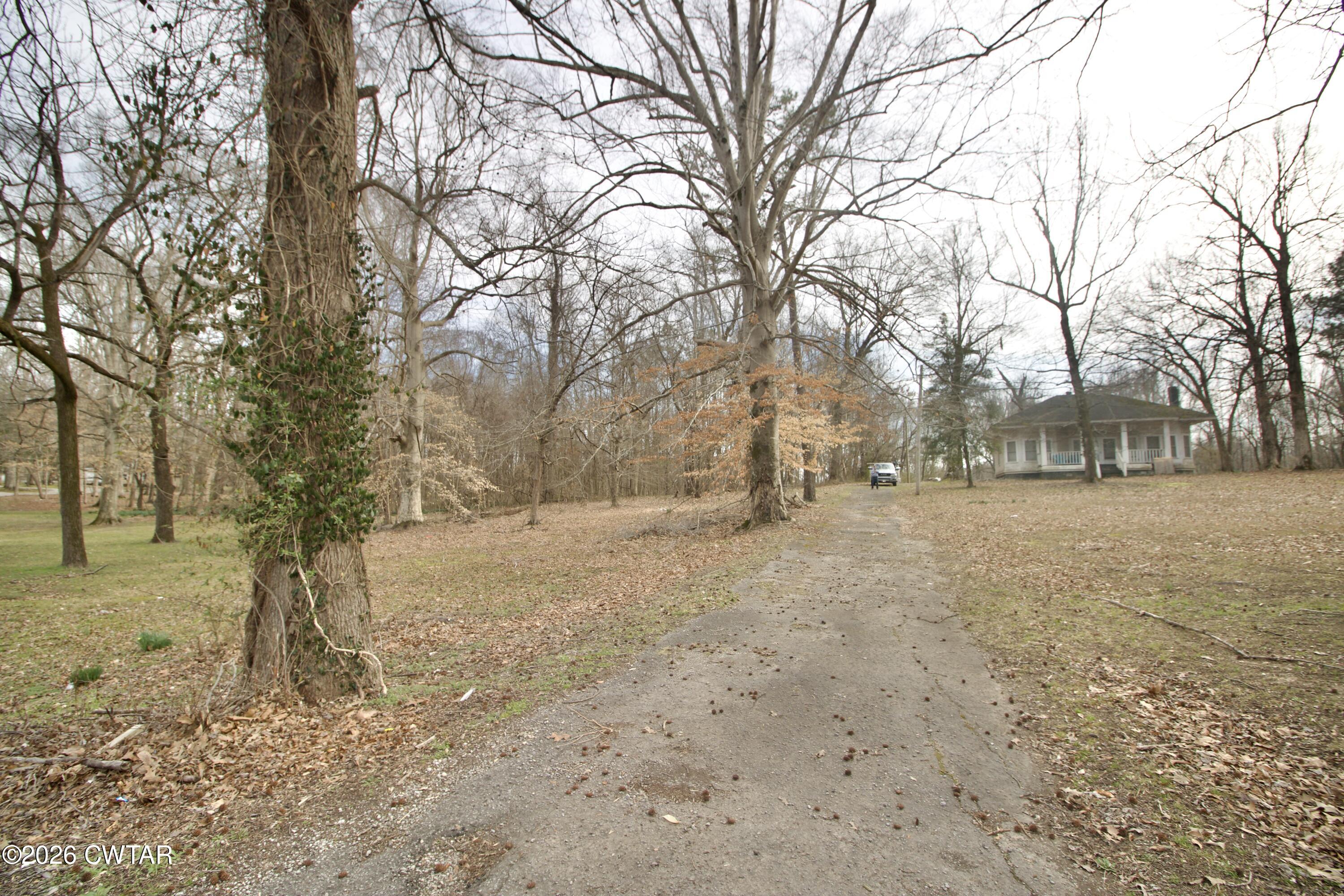 1782 East Chester Street Jackson, TN 38301 - Photo 4 of 31 IMG_6539