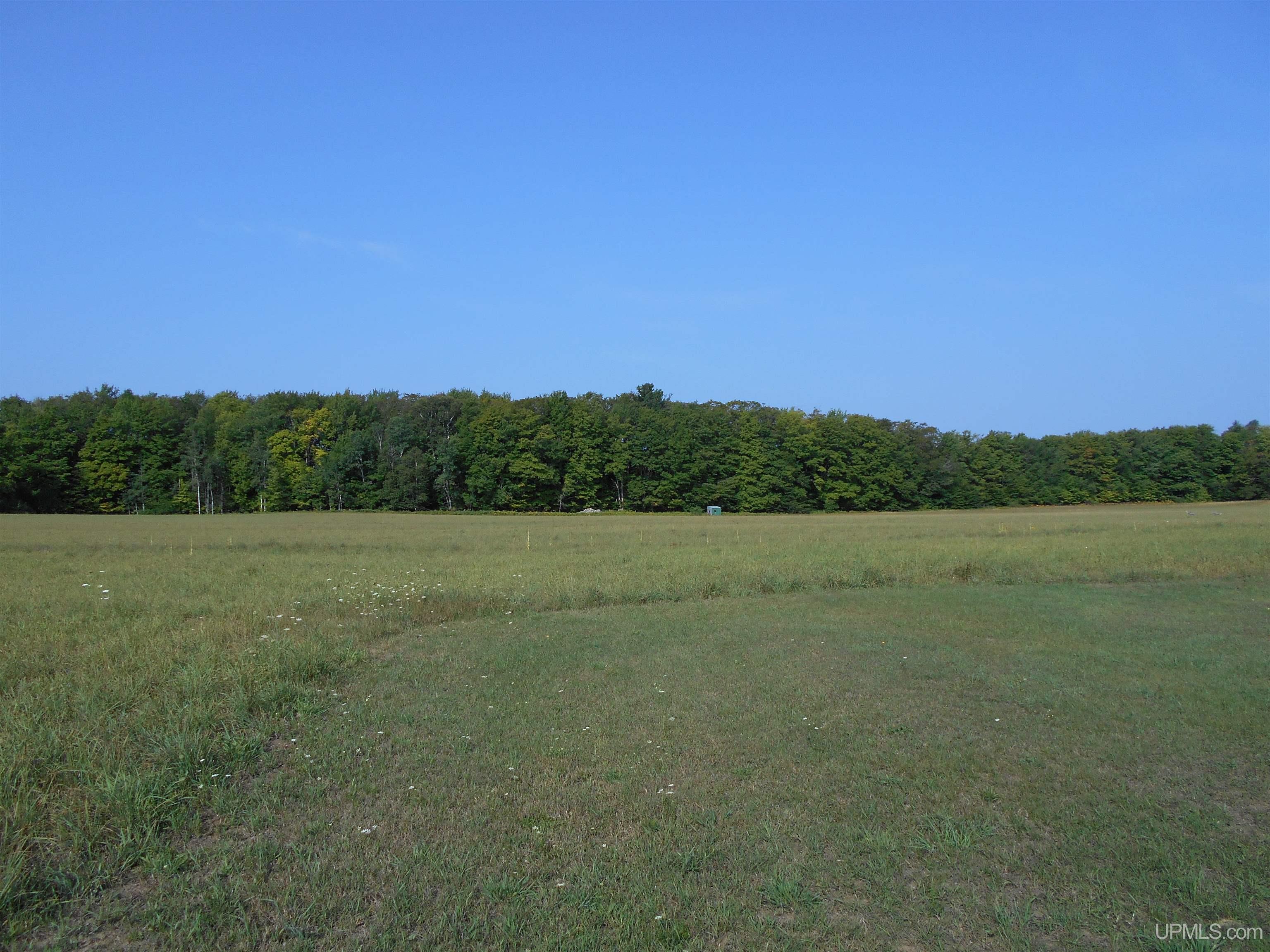 1727 N West Kendall Road Manistique, MI 49854 - Photo 10 of 49