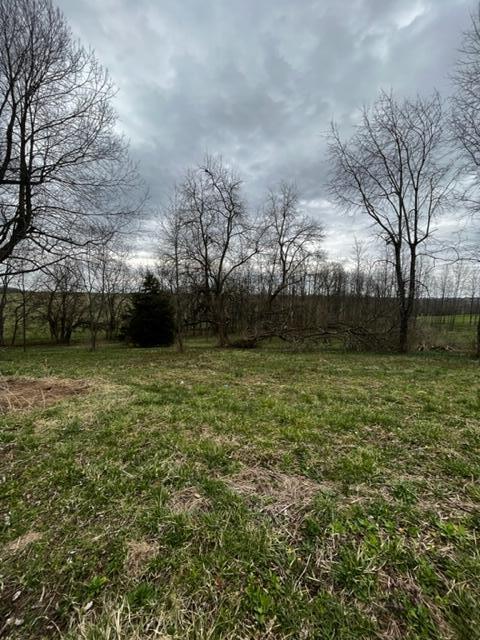 0 Sexton Road Harrodsburg, KY 40330 - Photo 3 of 5 IMG_0435