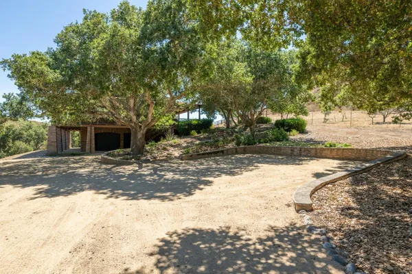 a view of a yard with plants and trees